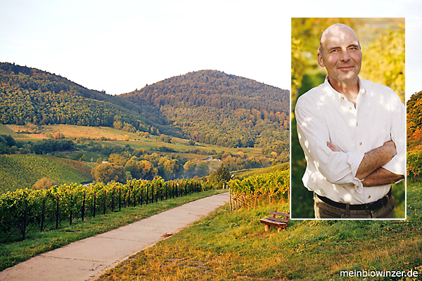 Weingut Braun